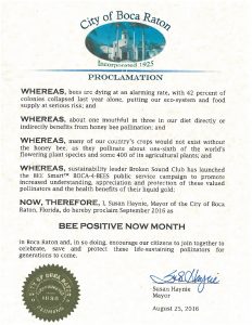 BSC-Proclamation-CityBeePositiveNow[1]